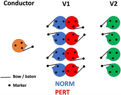 Interpersonal sensorimotor communication shapes intrapersonal coordination in a musical ensemble